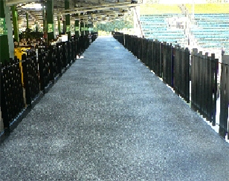 Speckle coated non slip surface